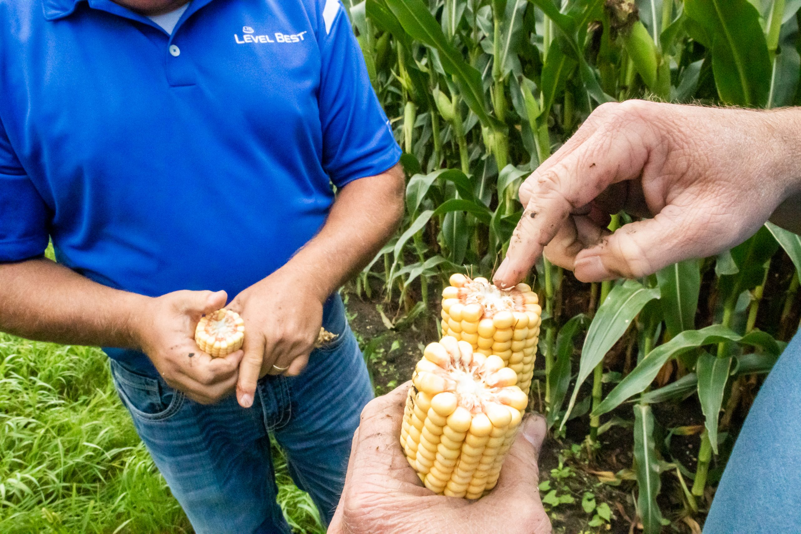 Dakota Agronomy Partners